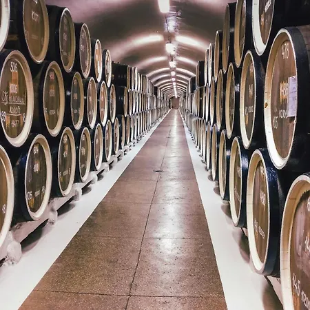 Tandem Solera Lägenhet